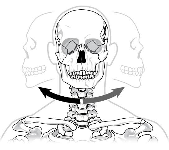 <p>pivot joint</p>