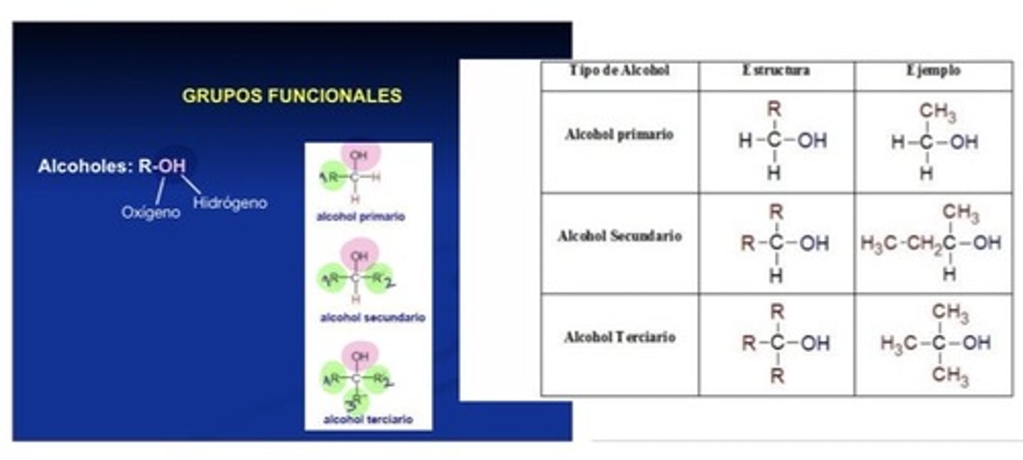 <ul><li><p>Alcohol: Molécula orgánica que contiene un grupo funcional (hidroxilo/alcohol) compuesto de oxígeno e hidrógeno</p></li></ul><p></p>