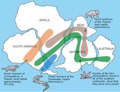 <p>The study of where organisms live and how they came to live where they do</p><p>Study of past and present</p><p>geographical distribution of species.</p>