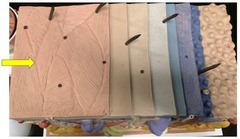 knowt flashcard image