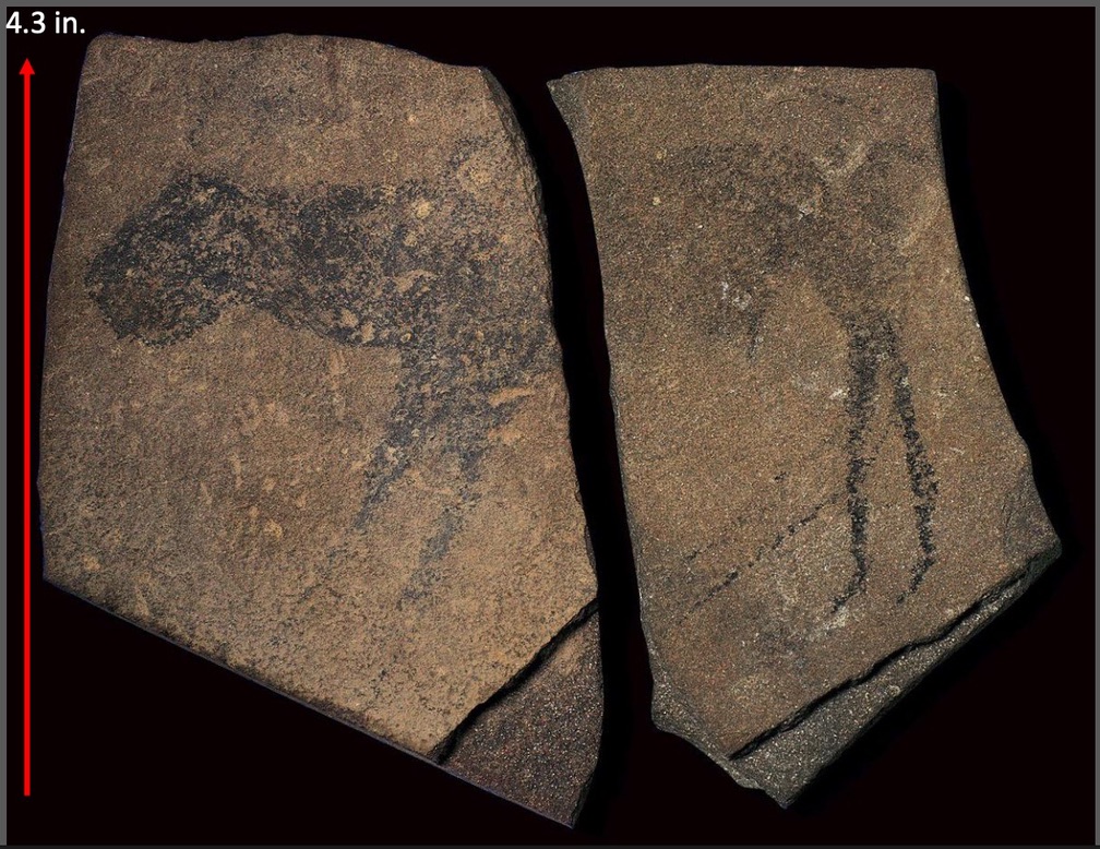 <p>name</p>