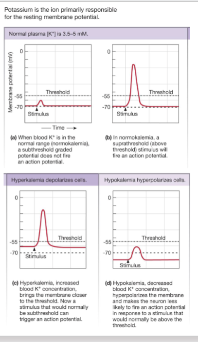 <p><span>Chemical Factors Alter Electrical</span><br><span>Activity</span></p>