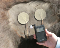 <p>What is transcutaneous electric nerve stimulation?</p>