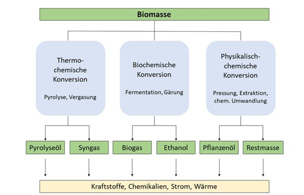 <p><strong>1. Thermo-chemische Konversion</strong><br>Biomasse wird unter Hitzeeinwirkung (mit/ohne Sauerstoff) zersetzt:</p><ul><li><p><strong>Pyrolyse</strong> (Erhitzung unter Sauerstoffausschluss) → <strong>Pyrolyseöl</strong></p></li><li><p><strong>Vergasung</strong> (partielle Oxidation) → <strong>Synthesegas</strong>, (H₂+CO)</p></li></ul><p class="font-claude-response-body break-words whitespace-normal"><strong>2. Biochemische Konversion</strong><br>Mikroorganismen/Enzyme wandeln Biomasse biologisch um:</p><ul><li><p><strong>Gärung</strong> (anaerober Abbau, z. B. in Biogasanlagen) → <strong>Biogas</strong> (v.a. Methan)</p></li><li><p><strong>Fermentation</strong> (Zucker → Alkohol durch Hefen) → <strong>Ethanol</strong></p></li></ul><p class="font-claude-response-body break-words whitespace-normal"><strong>3. Physikalisch-chemische Konversion</strong><br>Rein mechanische/chemische Trennverfahren, keine Strukturveränderung des Moleküls:</p><ul><li><p><strong>Pressung/Extraktion</strong> von Ölsaaten (Raps, Soja) → <strong>Pflanzenöl</strong></p></li><li><p>Übrig bleibt <strong>Restmasse</strong> (z. B. Presskuchen, nutzbar als Futtermittel oder energetisch)</p></li></ul><p></p><p>Kraftstoffe, Chemikalien, Strom, Wärme</p>