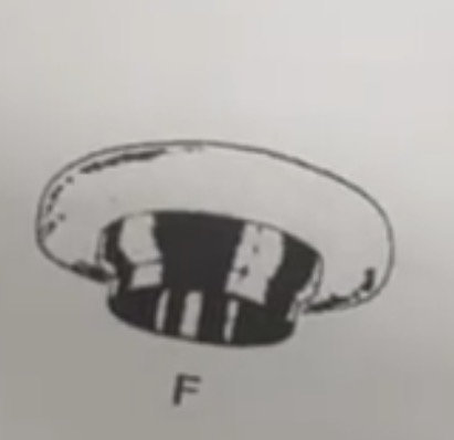 <p>What is this</p>