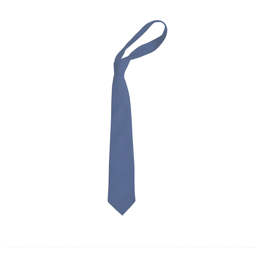<p>a tie</p>