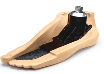 <ul><li><p>basic, </p></li><li><p>durable</p></li><li><p>inexpensive </p></li><li><p>suitable for individuals who have limited walking requirements </p></li><li><p>does not adapt to terrain</p></li></ul><p></p>