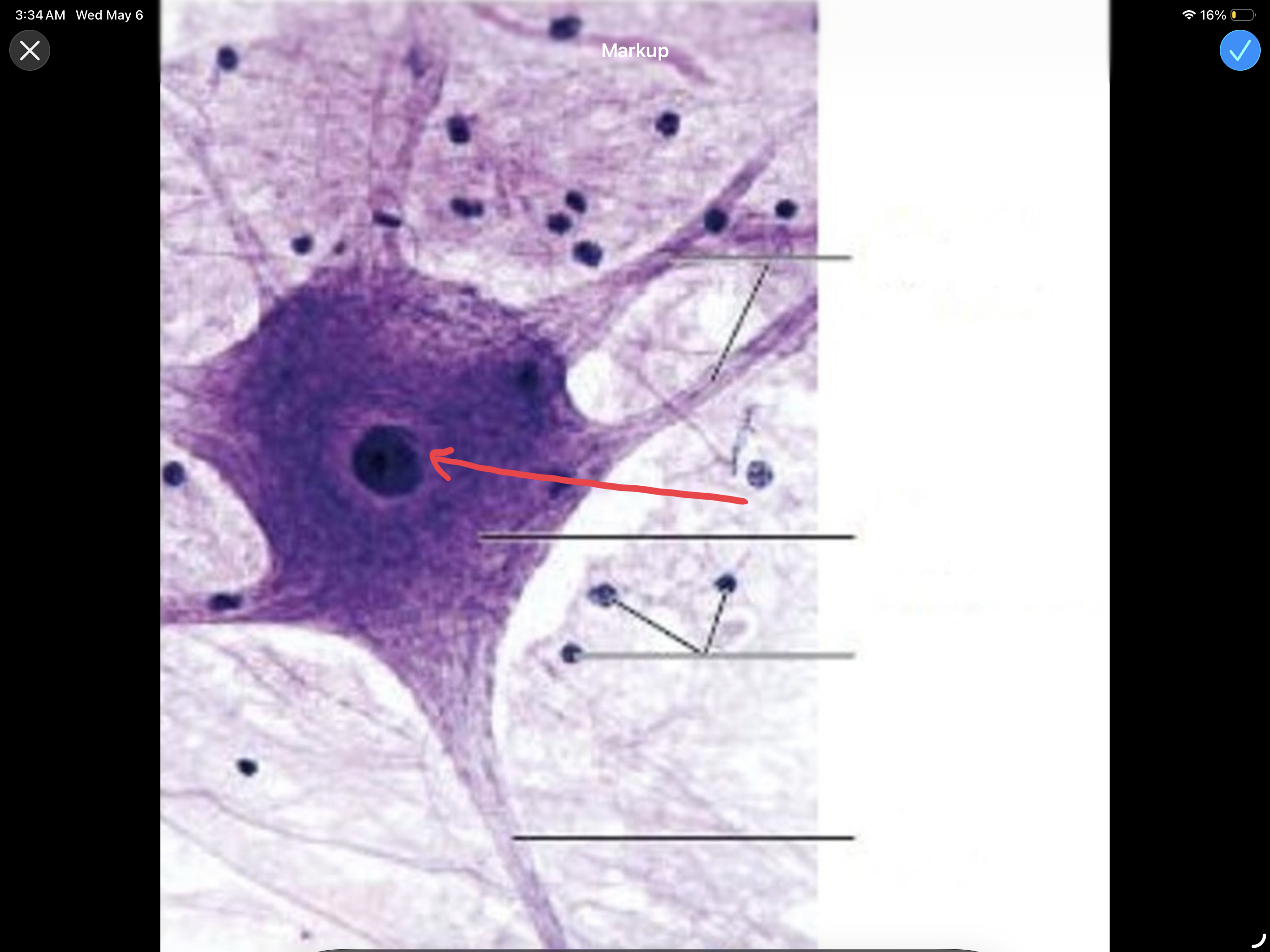 <p>What is the arrow pointing to?</p>