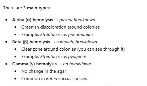 <p>What are the two major properties used to classify Streptococci clinically?</p>