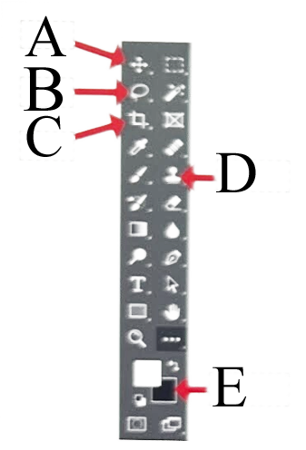 <p><span>Identify the tools on the Photoshop tool bar image.</span></p>