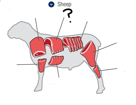 <p>What is this cut of meat?</p>