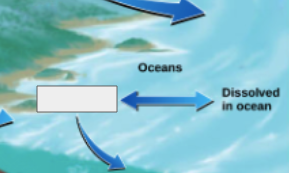<p>phosphorous cycle: name the step</p>