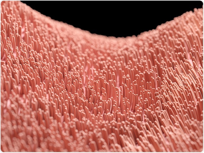 Cilia