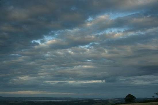 <p>Name this cloud, it’s abbreviation and explain its unique features along with weather patterns associated with this cloud.</p>