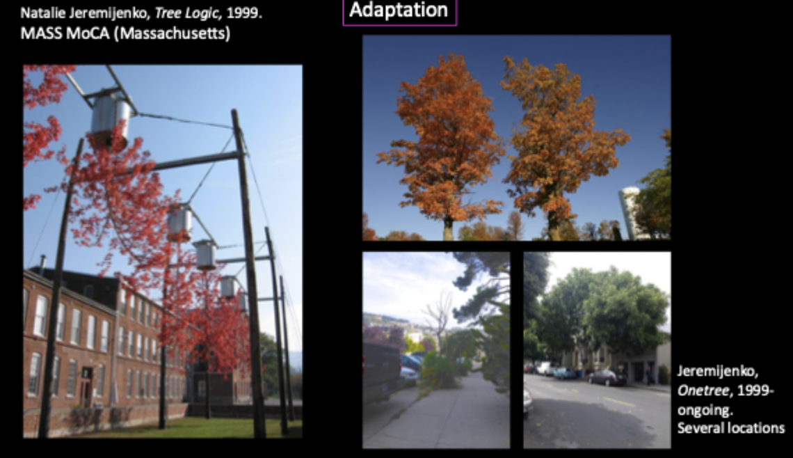 <p>Natalie Jeremijenko, Tree Logic, 1999; One Tree, 1999.</p>