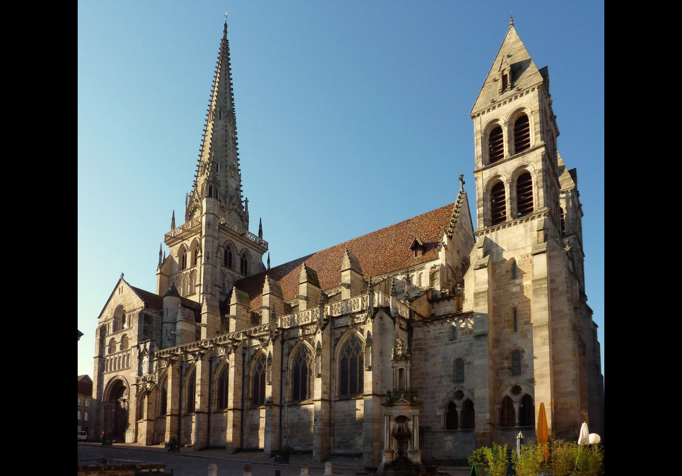 term image