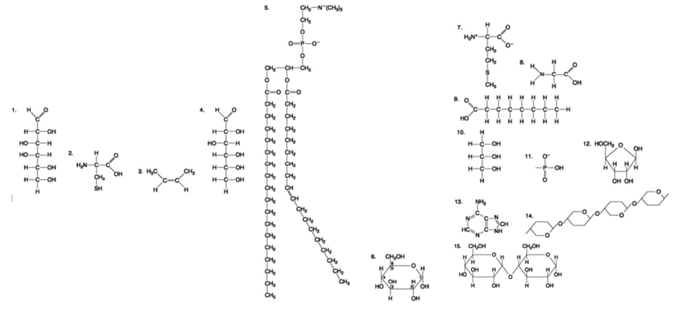 <p><span>The following question is based on the 15 molecules illustrated in the figures.</span></p><p>A fat (or triacylglycerol) would be formed as a result of a dehydration reaction between ________.</p><p><br> </p><p>one molecule of 5 and three molecules of 9</p><p> </p><p>one molecule of 5 and three molecules of 10</p><p> </p><p>one molecule of 9 and three molecules of 10</p><p> </p><p>three molecules of 9 and one molecule of 10</p>