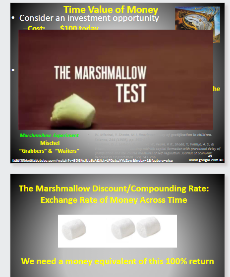<p>How did the marshmallow experiment illustrate the time value of money?</p>