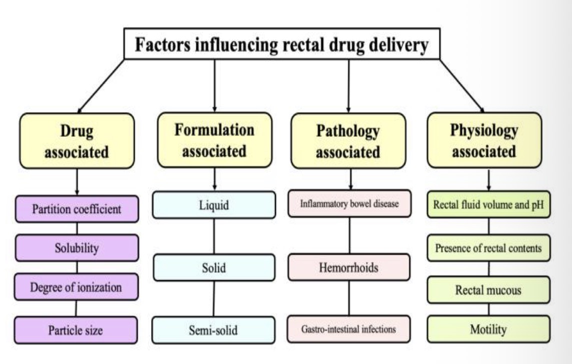<p><strong><u>Obj. 10</u></strong></p><p>What are the 4 factors that affects rectal drug delivery?</p>