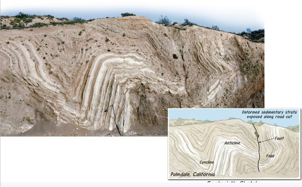 <p>Folding &amp; faulting indicate...</p>