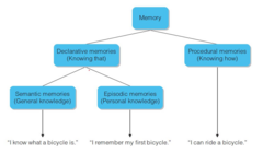 <p>Declarative knowledge is knowledge that can be verbally described, such as 'what to do' to perform a skill.</p>