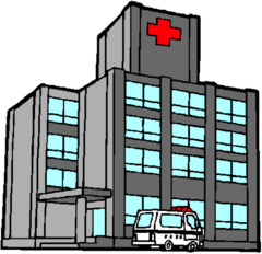<p>the hospital</p>