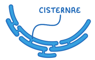 <p>A network of cisternae (membranes enclosing fluid-filled space).</p><p>Synthesise, store and transport lipids and carbohydrates.</p>