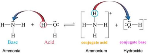 <ul><li><p><span style="background-color: transparent; font-family: "Libre Franklin", sans-serif;"><strong>CONJUGATE ACID: the substance that forms when a base ACCEPTS a hydrogen ion</strong></span></p></li></ul><ul><li><p><span style="background-color: transparent; font-family: "Libre Franklin", sans-serif;"><strong>CONJUGATE BASE: the substance that forms when an acid DONATES a hydrogen ion</strong></span></p></li></ul><p></p>