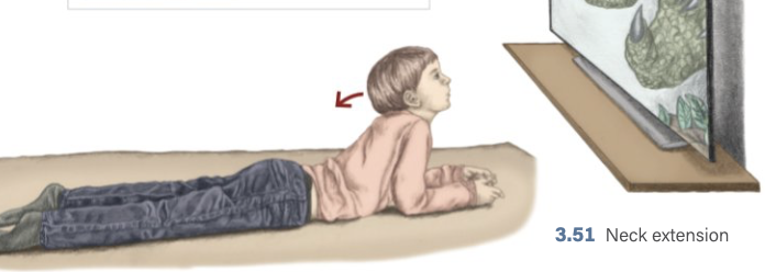 <p>Neck Extension</p>