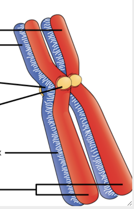 <p>What is the fifth line?</p>