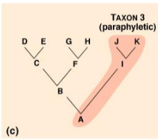 <p>Does not include all organisms descended from a common ancestor</p>