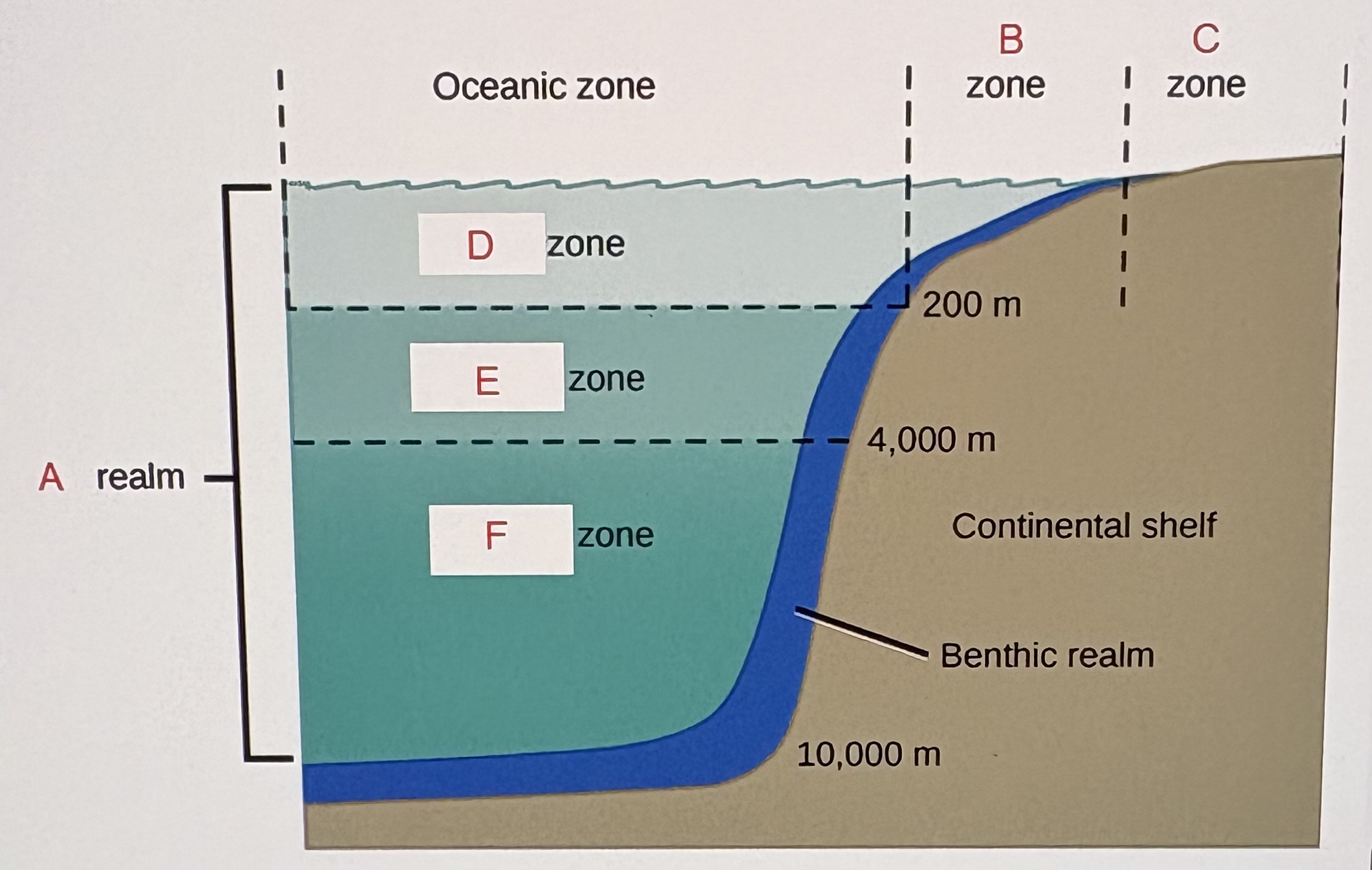 <p>Label and briefly define each of the six oceanic biomes in the above diagram.</p>