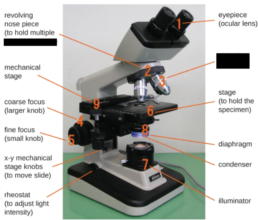 <p><span style="background-color: transparent;">A lens on a rotating nosepiece, ranging from 4-100 times magnification</span></p>