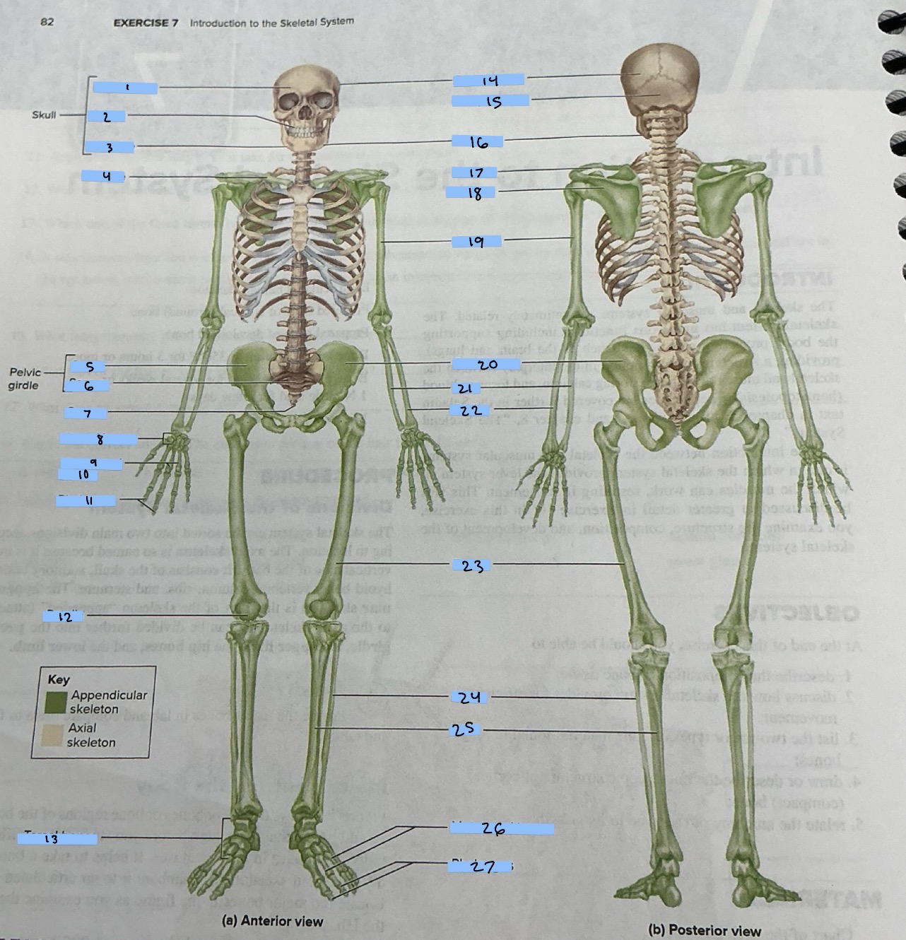 <p>18</p>