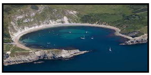 <p>Cove</p>