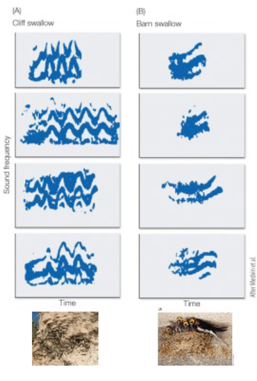 <p>what does this figure show?</p>