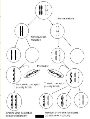 <p>When the child posesses two copies of one of the chromosomes the parent posesses (child will inherit aa if mom has one a chromosome</p>