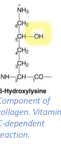 <p>Component of collagen. Vitamin C-dependent reaction.</p>