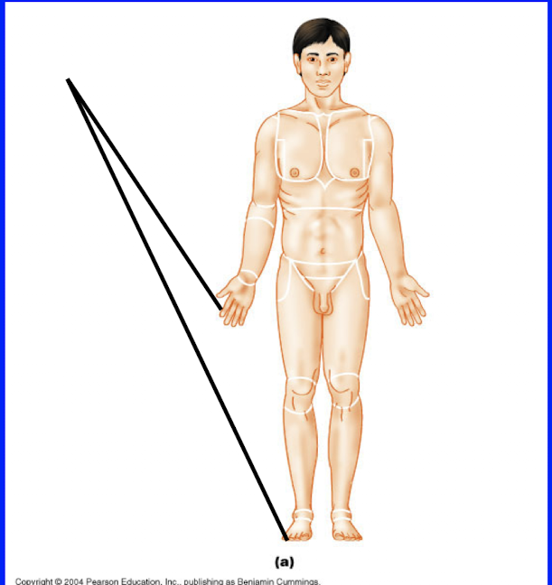<p>Digital</p>