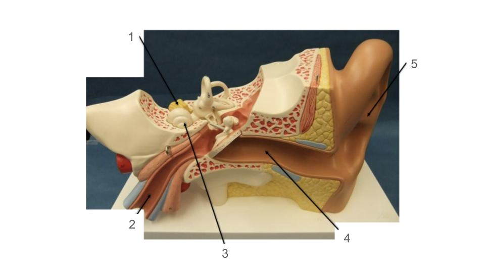 <p>3, structure</p>