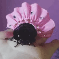 <p>Ecological footprint </p>