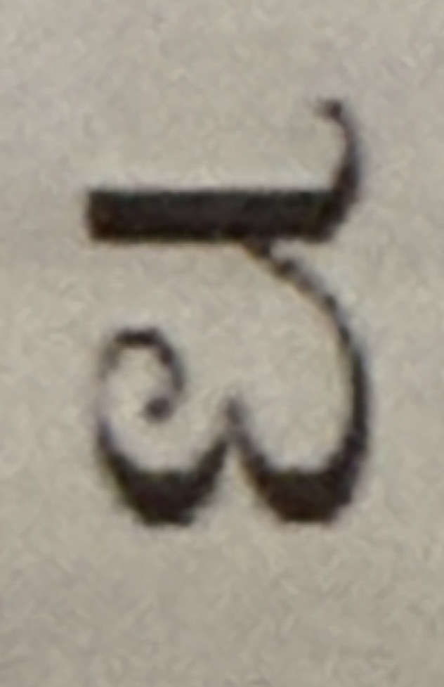 term image