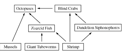 <p>The food web above represents feeding relationships in a biological community near a deep-sea hydrothermal vent. Hydrothermal vents are geysers on the seafloor that gush super-heated, mineral-rich water. The seawater surrounding hydrothermal vents typically contains carbon dioxide (CO<sub>2</sub>), molecular hydrogen (H<sub>2</sub>), hydrogen sulfide (H<sub>2</sub>S), and methane (CH<sub>4</sub>). Sunlight, however, fails to reach the seafloor where deep-sea hydrothermal vents are located.</p><p>As part of an investigation, researchers collected living specimens from an area near a deep-sea hydrothermal vent. Mussels in the collection were found to be dependent on molecular hydrogen in seawater. Also, the researchers discovered multiple species of bacteria living in the gills of the mussels. Mussels use gills for filter-feeding and gas exchange with the surrounding seawater. On the basis of their experimental results, the researchers hypothesized that some bacteria living in the gills of the mussels are capable of chemosynthesis.</p><p>Researchers are investigating the evolutionary relationships among organisms found near deep-sea hydrothermal vents and similar organisms found closer to the ocean surface. Which of the following scientific questions is most relevant to the investigation?</p><p><strong><br>A) </strong>What are the nucleotide sequences of ribosomal RNA genes that are found in the genomes of the different species?</p><p><strong>B) </strong>What large-scale geological events have occurred recently in the Mid-Atlantic Ocean?</p><p><strong>C) </strong>Does water temperature at different ocean depths affect the relative levels of dissolved oxygen?</p><p><strong>D) </strong>Do species found near deep-sea hydrothermal vents all have the same haploid number of chromosomes?</p>