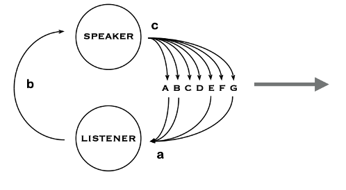<ul><li><p>lots of things are produced by the speaker, but only some things get listened to and encoded </p></li></ul><p></p>