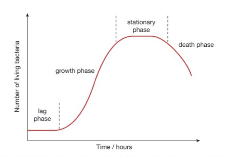 <p><span style="background-color: transparent;">OBJQ</span></p><p><span style="background-color: transparent;">Explain the bacterial culture sigmoid curve</span></p>