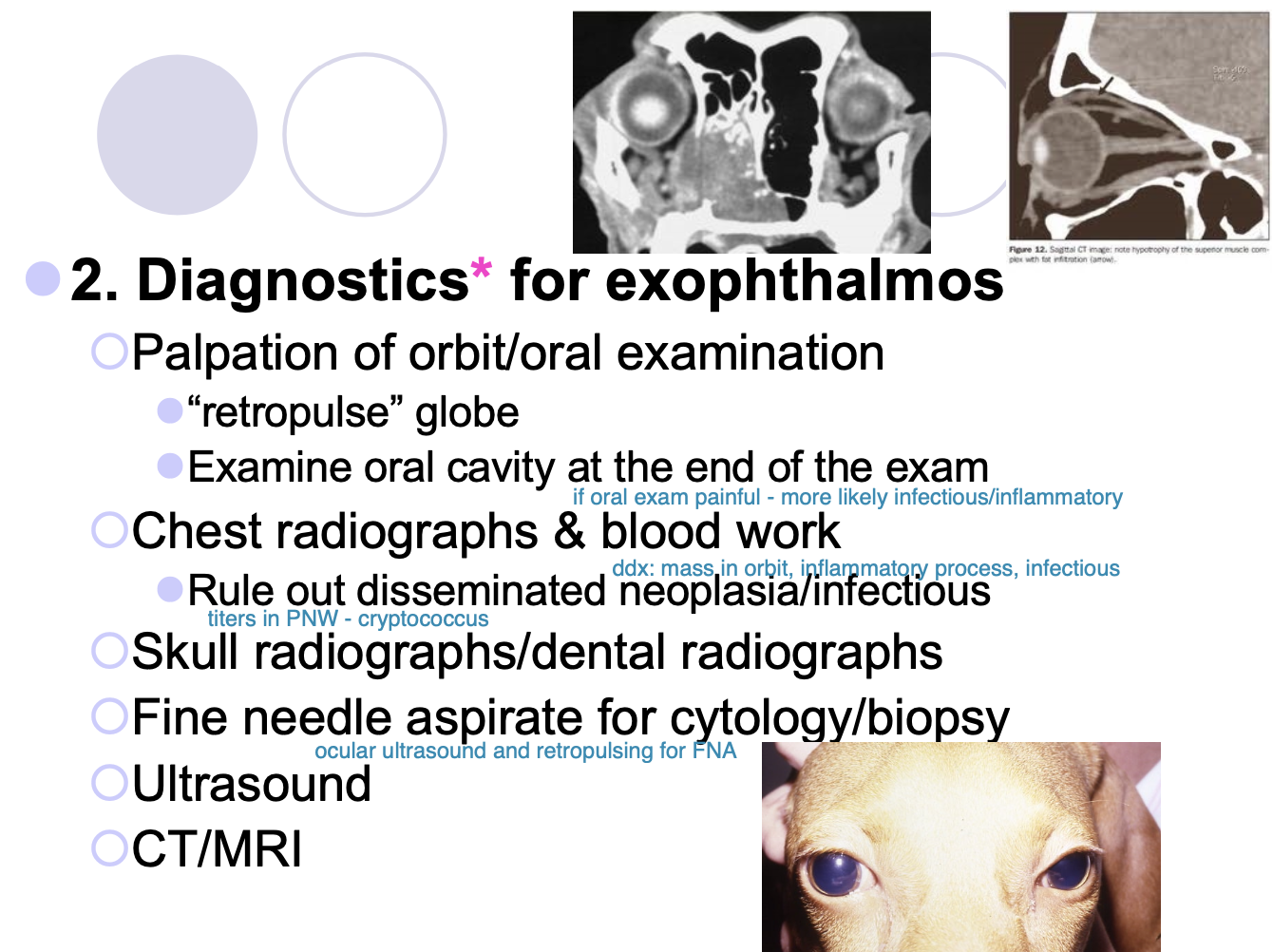 <p>r/o disseminated neoplasia/infectious.</p>