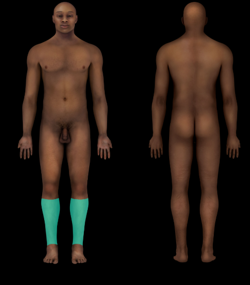 term image
