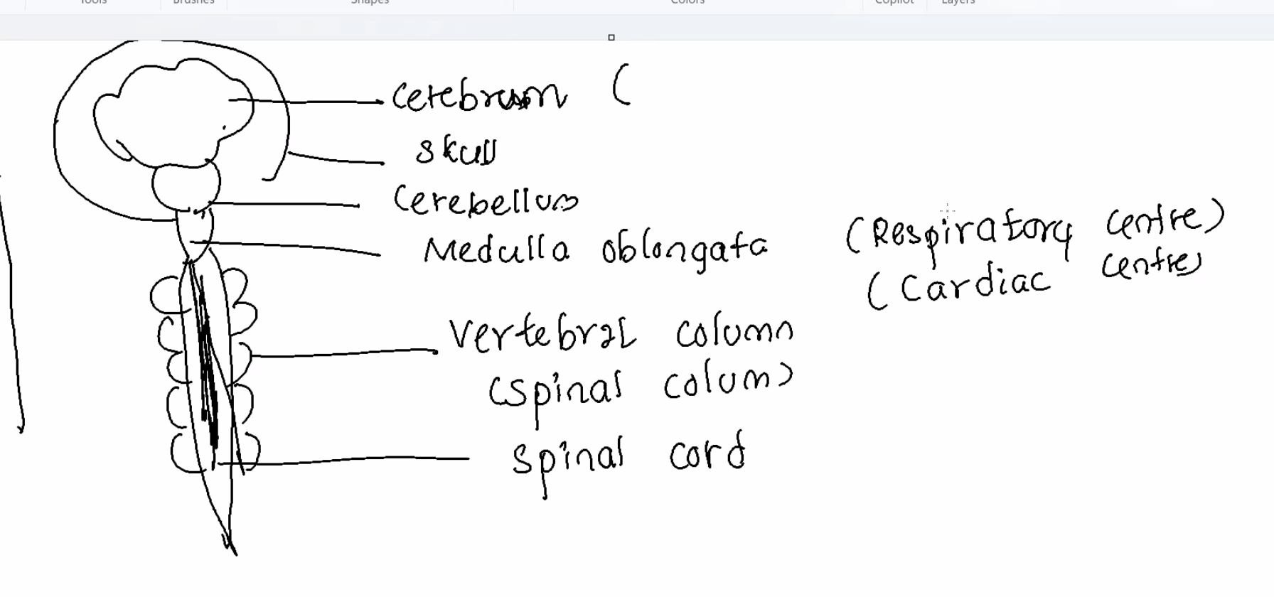 knowt flashcard image