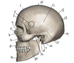 <p>What is 1</p>