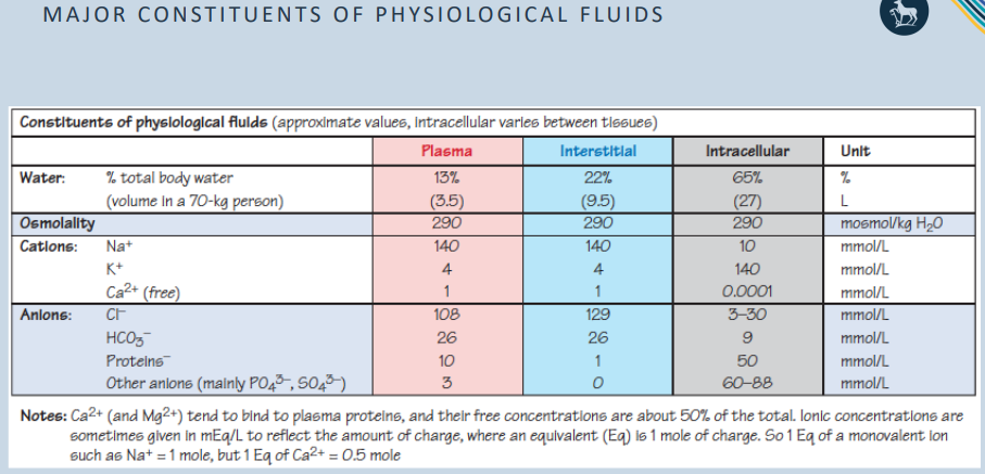 <p>fluidmovement between ecf compartments</p>